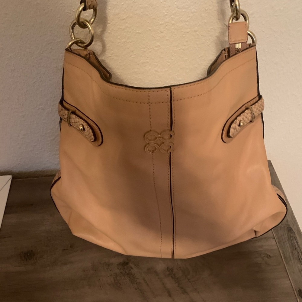 Coach Hobo Handbag (authentic)